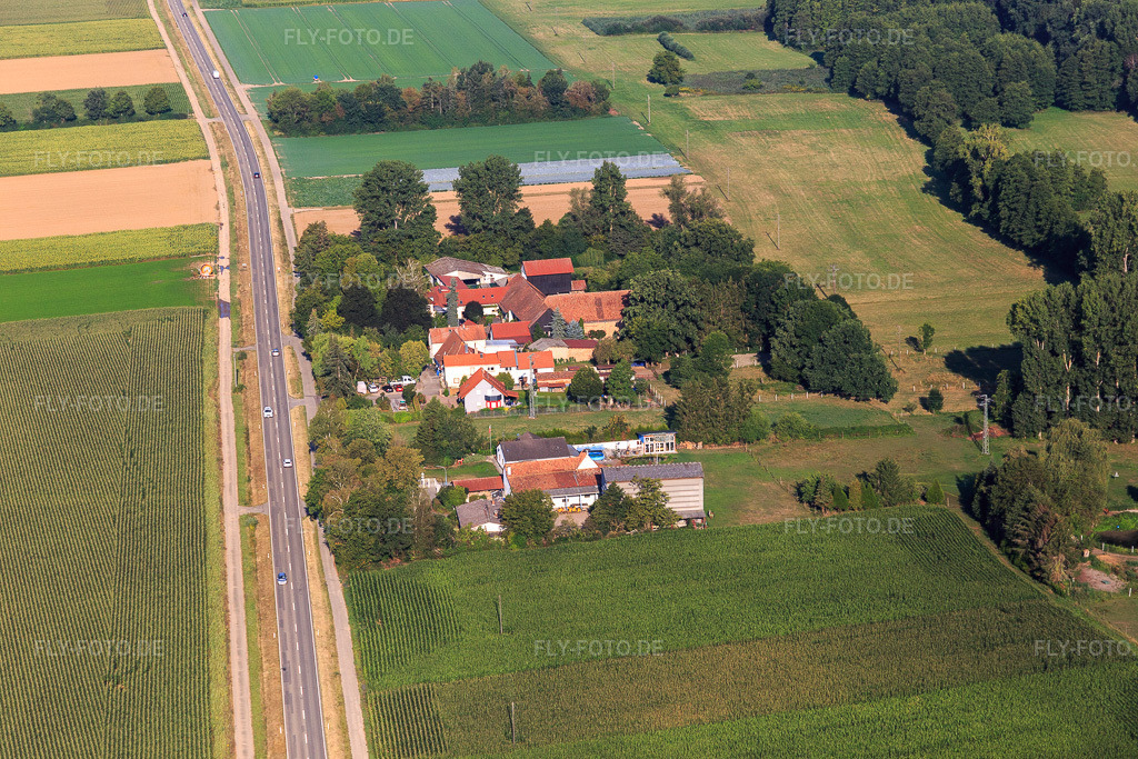 Luftbild: Ortsteil Höfen im Ortsteil Minderslachen in Kandel im Bundesland Rheinland-Pfalz in Deutschland. Foto: IMG_122104.jpg vom 08.08.2020 durch Werner Riehm/FLY-FOTO.de