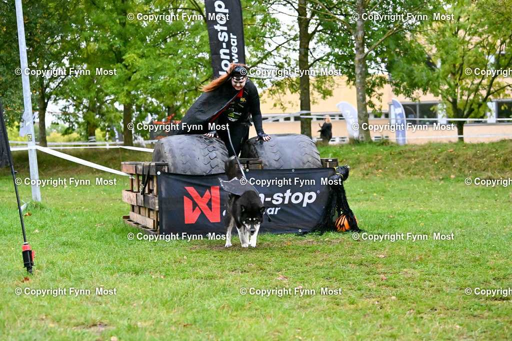 DSC_3183 | Hallo und herzlich Willkommen auf meiner Shop-Seite Fynn Most.

Ich wünsche Dir viel Spaß beim stöbern durch die Bilder, wenn Du Fragen hast oder Bilder vermisst, kannst du mir gerne eine Nachricht schreiben. - Realized with Pictrs.com