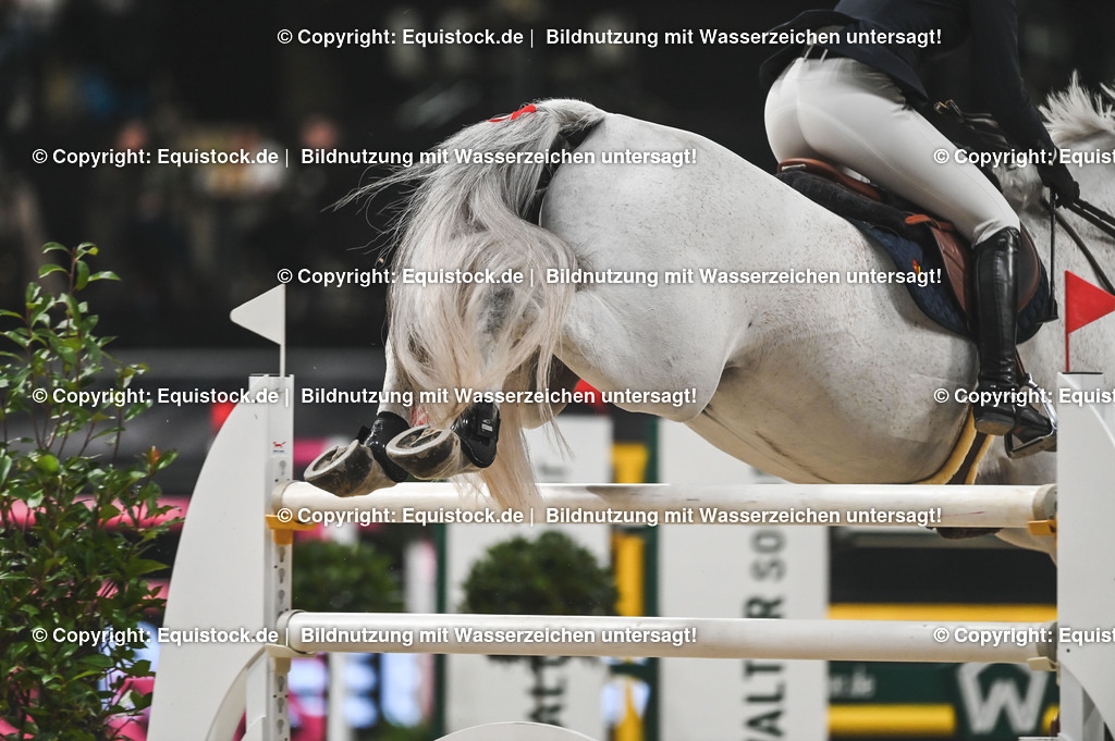 20241115_Preis der Outletcity Metzingen_TOMsPiC_0253 | Foto: Thomas Hartig