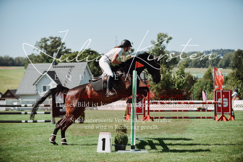 DSC_3233 | Pferde- und Turnierfotografie in Westsachsen. Pferdeportraits, Auftragszeichnungen und intuitive Kunst.