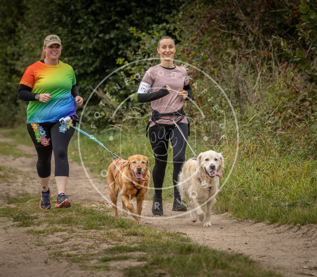 Pfotenfotografie_DV3A7337 | Hundefotografie, Tierfotograf, Pfotenfotografie, Fotoshooting Hund, Hunde Portrait, Hundesport, Hundeportraits, Heideshooting, Hunde, Sportfotograf, Hundefotograf, Turnierhundsport, THS,  - Realisiert mit Pictrs.com