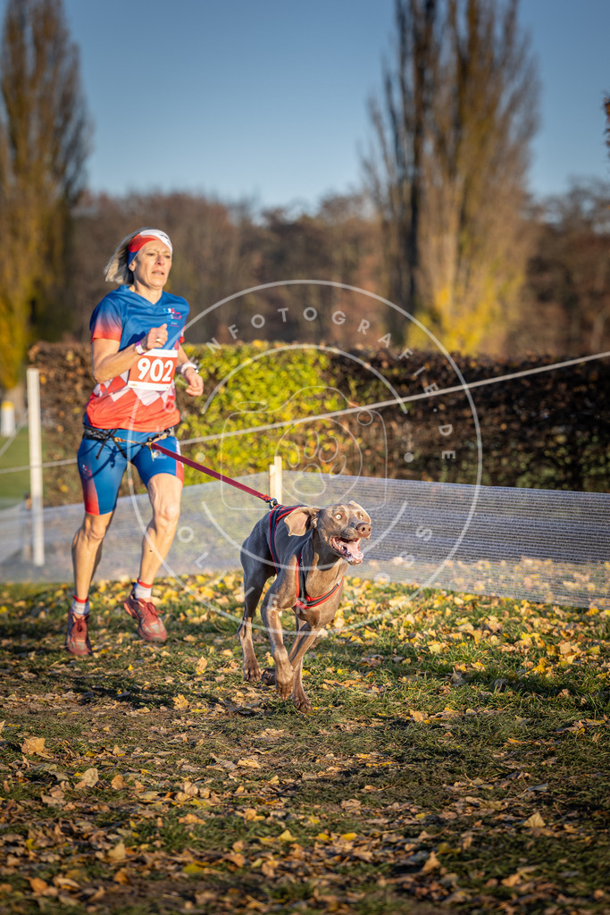 CaniXpix_DV3A4636 | Hundefotografie, Tierfotograf, Pfotenfotografie, Fotoshooting Hund, Hunde Portrait, Hundesport, Hundeportraits, Heideshooting, Hunde, Sportfotograf, Hundefotograf, Turnierhundsport, THS,  - Realisiert mit Pictrs.com
