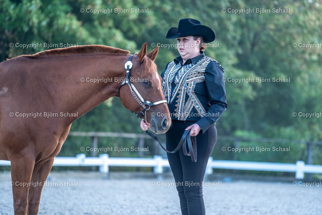 HOB07612 | BS-foto
