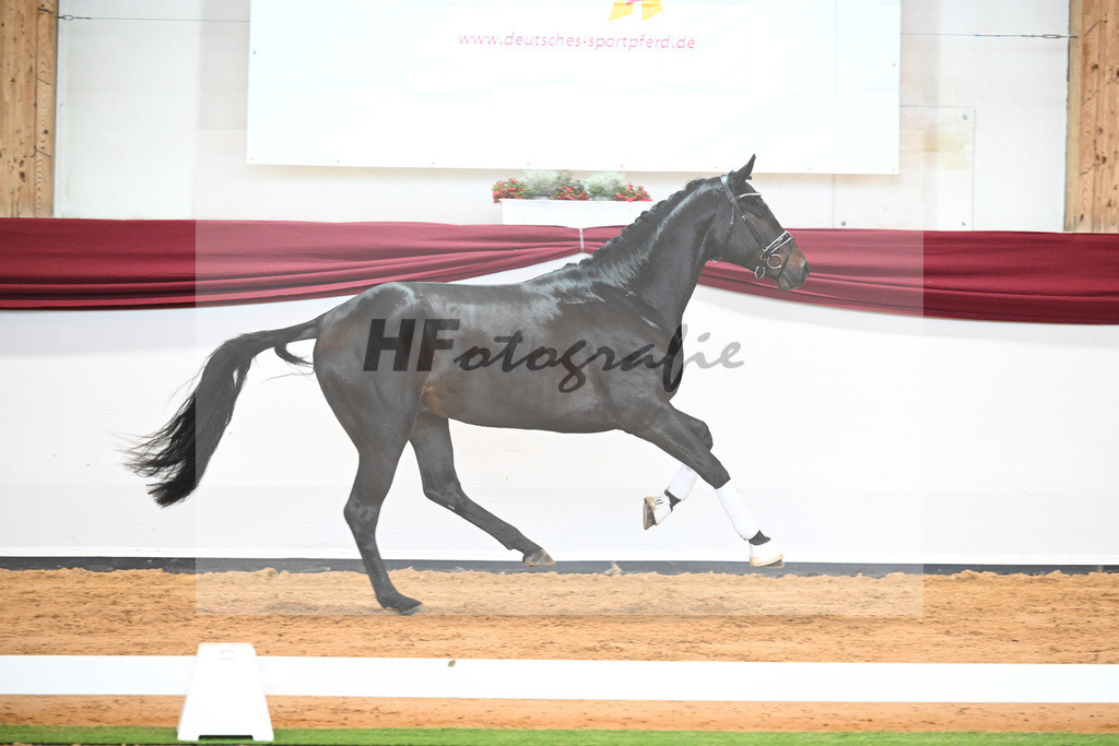 Kat-Nr. 40 v. Lord Europe_Bergmann_66221899 | hf-fotografie - Realisiert mit Pictrs.com
