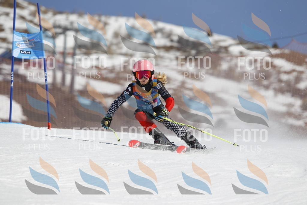 _U3G9628 | holidayphoto