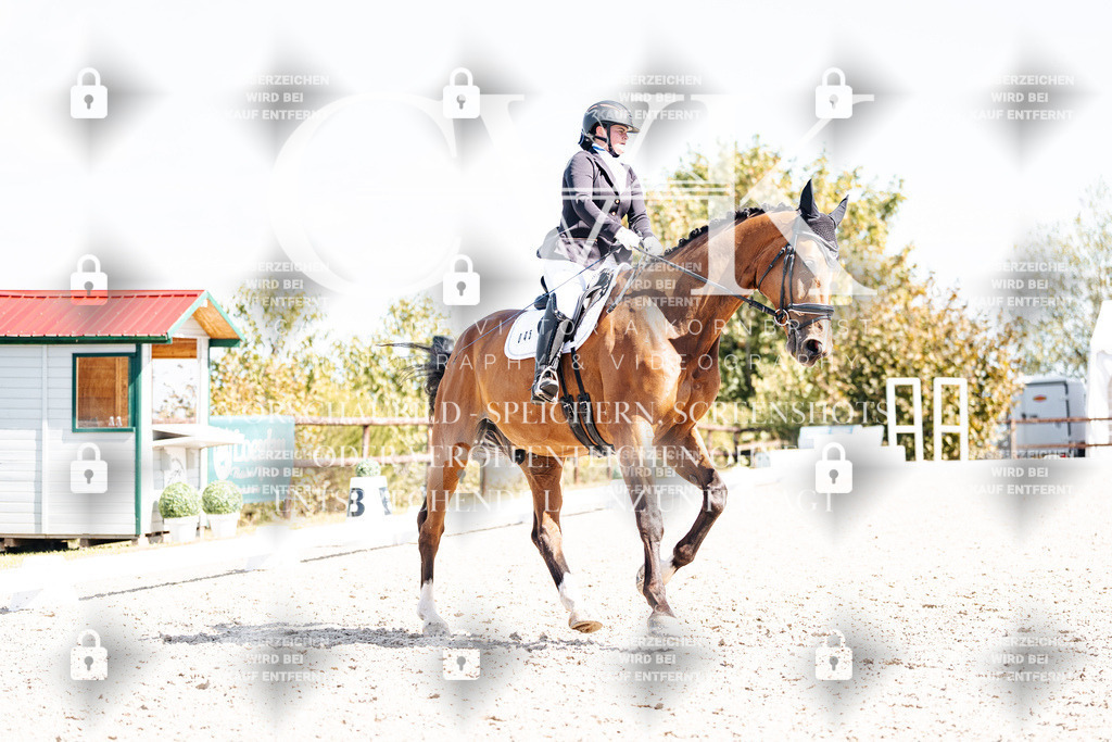 CK903202 | Turnierfotografie Pferdefotografie Trier Rheinland-Pfalz Pferdesport Reitsport Tierfotografie Sportfotografie Pferdevideo Pferdevideografie Equestrianvideography equestrianphotography  - Realisiert mit Pictrs.com