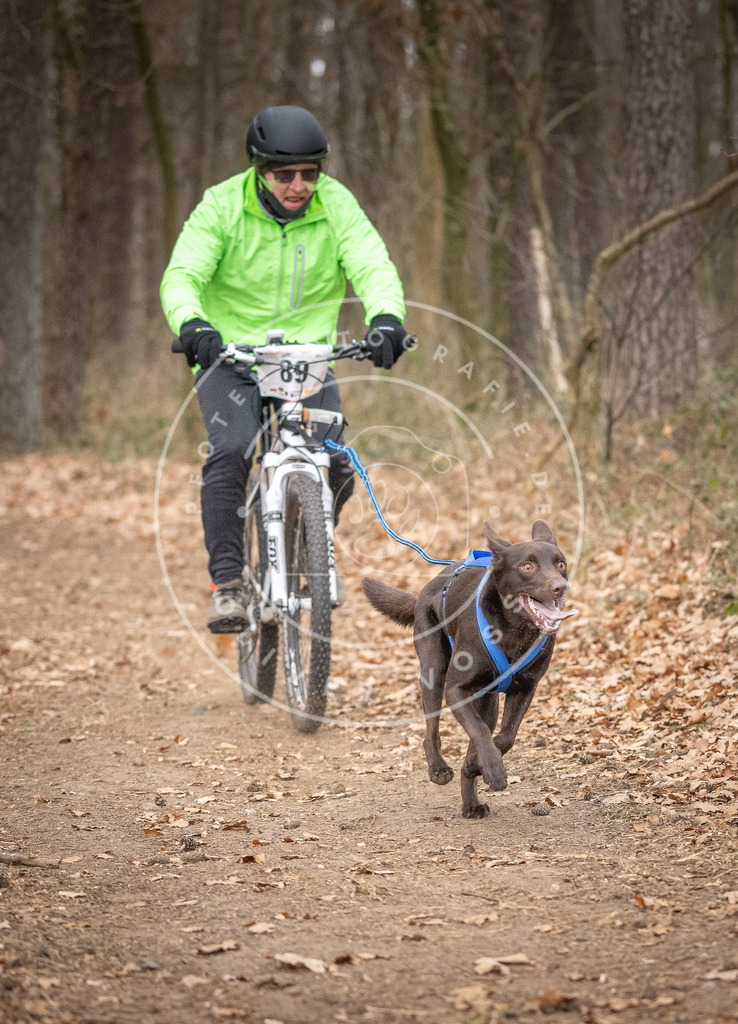 Pfotenfotografie_DV3A6516 | Hundefotografie, Tierfotograf, Pfotenfotografie, Fotoshooting Hund, Hunde Portrait, Hundesport, Hundeportraits, Heideshooting, Hunde, Sportfotograf, Hundefotograf, Turnierhundsport, THS,  - Realisiert mit Pictrs.com