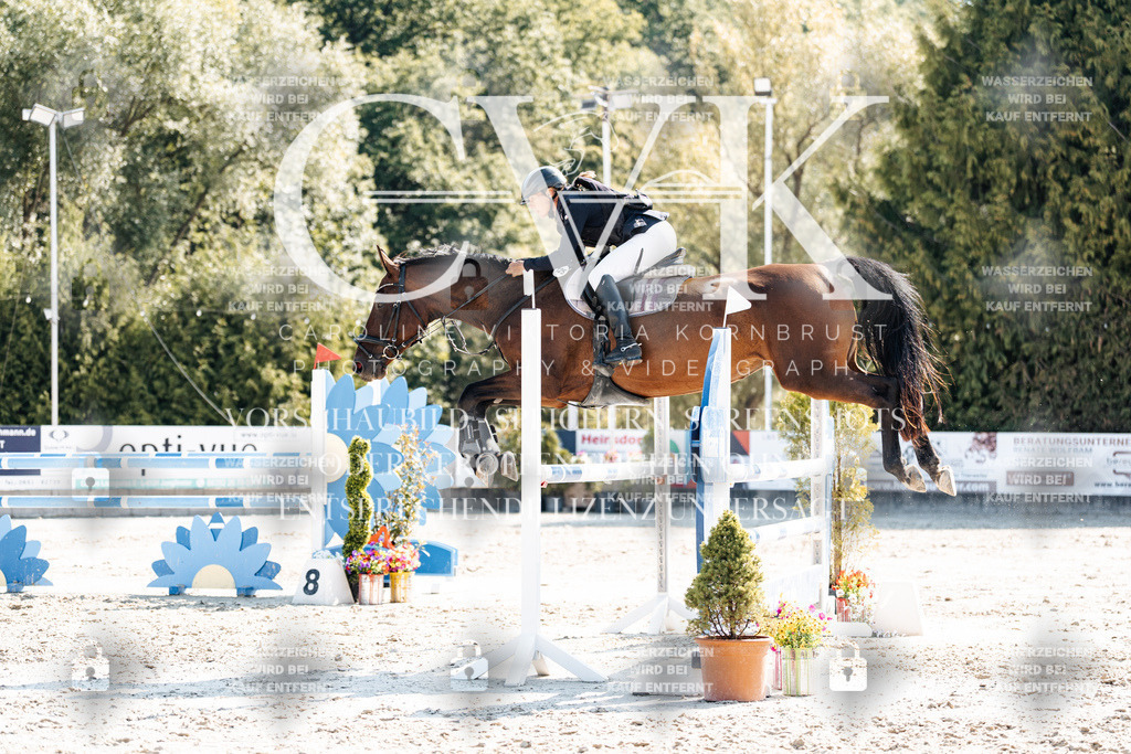 CK902678 | Turnierfotografie Pferdefotografie Trier Rheinland-Pfalz Pferdesport Reitsport Tierfotografie Sportfotografie Pferdevideo Pferdevideografie Equestrianvideography equestrianphotography  - Realisiert mit Pictrs.com