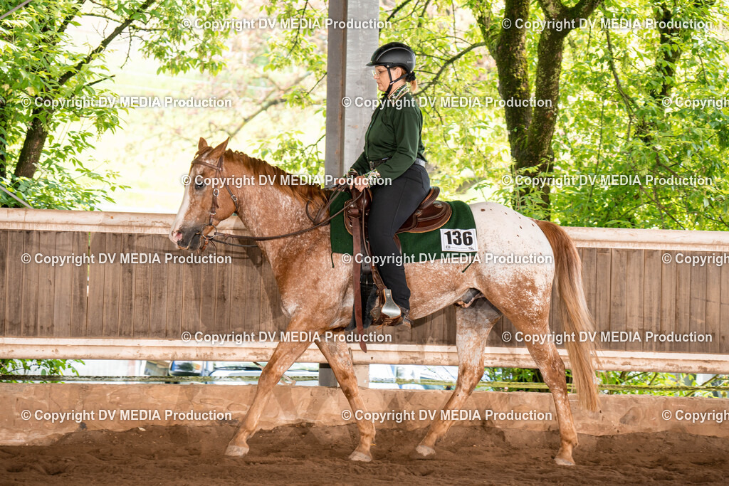 Erbach Tag 1-245 | dv-media-shop - Realisiert mit Pictrs.com