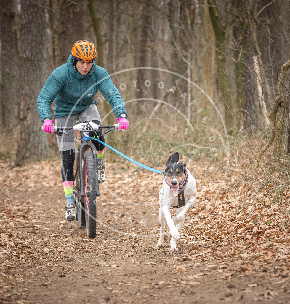 Pfotenfotografie_DV3A5236 | Hundefotografie, Tierfotograf, Pfotenfotografie, Fotoshooting Hund, Hunde Portrait, Hundesport, Hundeportraits, Heideshooting, Hunde, Sportfotograf, Hundefotograf, Turnierhundsport, THS,  - Realisiert mit Pictrs.com