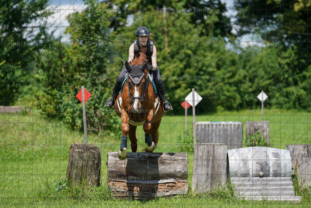 20240622-FAH06827 | Turnierfotografen Bayern, Reitsportbilder aus dem Geländekurs mit Felix Etzel auf dem Gut Waitzacker 2024