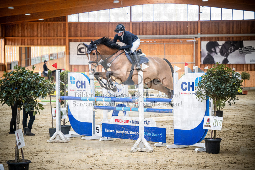 DOS_0491 | Entdecke hochwertige Reitturnierfotos von Foto Oger. Professionell, emotional und authentisch – jetzt Lieblingsmomente im Shop bestellen.Deutschlandweite Turnierfotografie. - Realisiert mit Pictrs.com