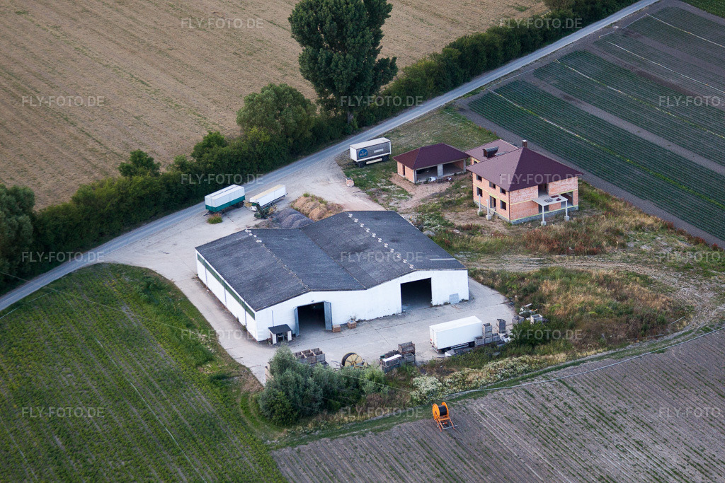 Luftbild: Weingartenstr im Ortsteil Eppstein in Frankenthal im Bundesland Rheinland-Pfalz in Deutschland. Foto: IMG_69036.jpg vom 24.06.2014 durch Werner Riehm/FLY-FOTO.de