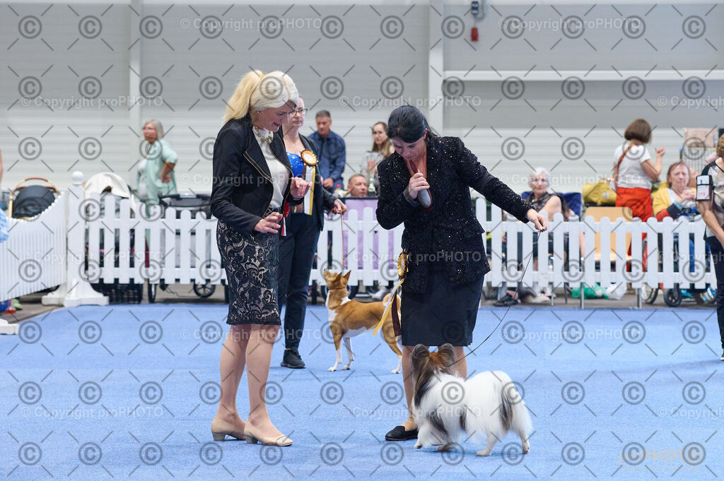 202406_ÖKV-IHA-Tulln24_DSC_4883 | proPHOTO - Realisiert mit Pictrs.com