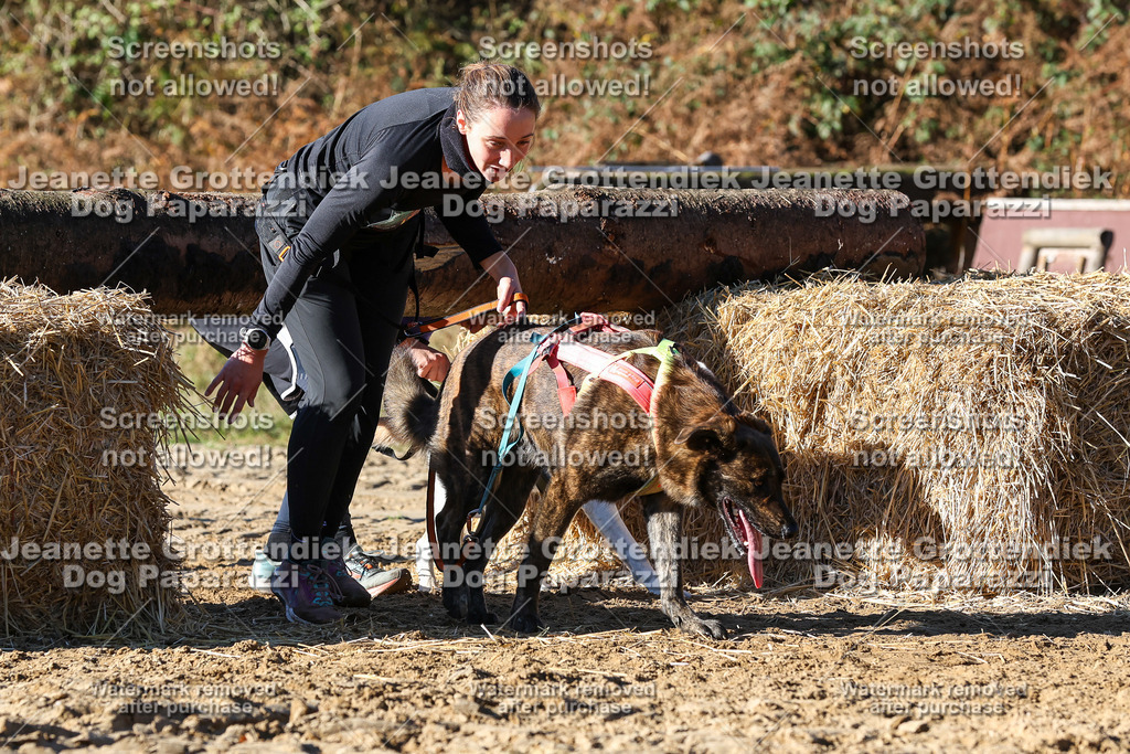 Dog Paparazzi - Strongdog 10-25-2181 | Dog Paparazzi Jeanette Grottendiek Fotografie & Videografie - Realisiert mit Pictrs.com