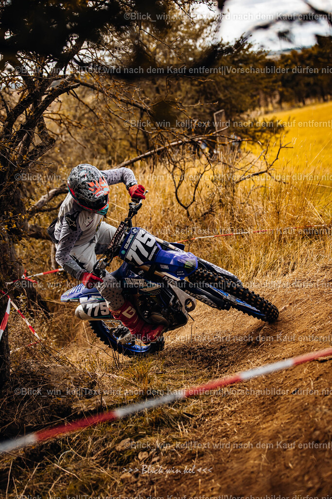 E68A2902 | blick_win_kel