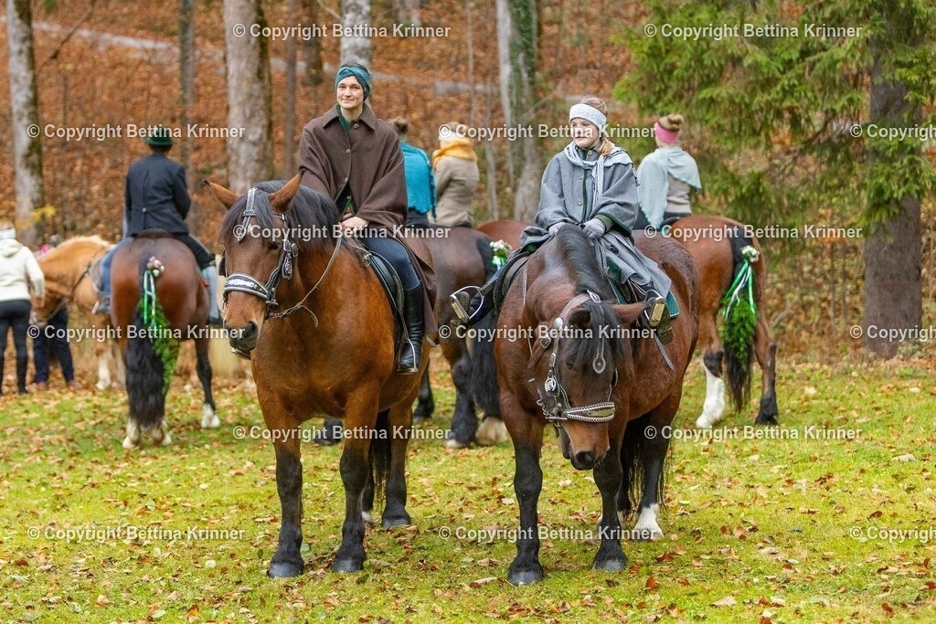 LL25-165 | foto-bettina-krinner - Realisiert mit Pictrs.com