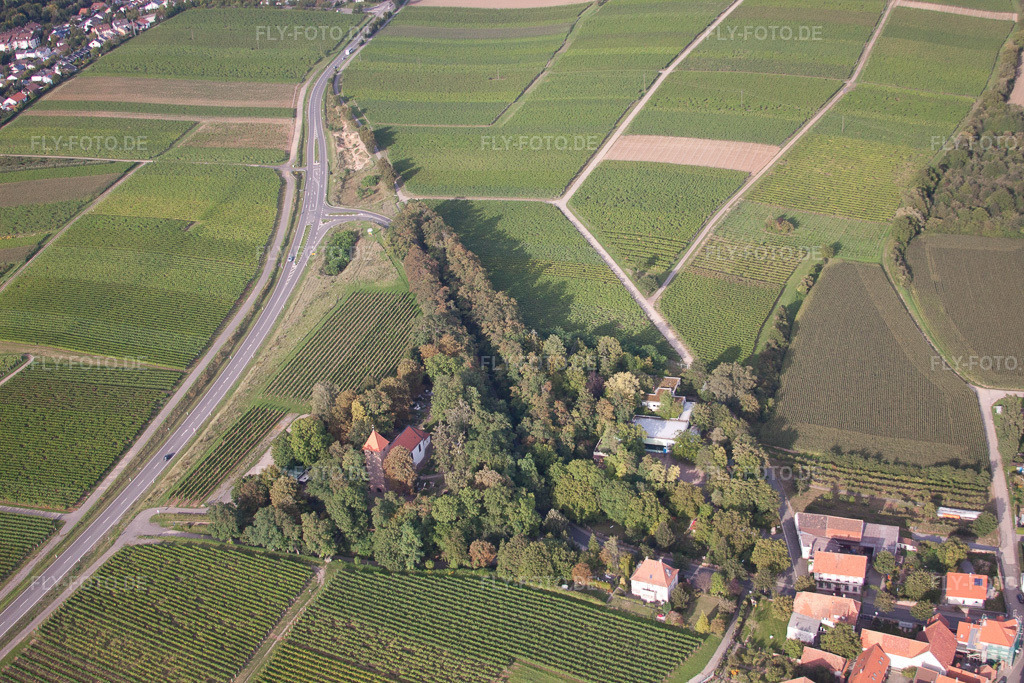 Luftbild: Kapelle im Ortsteil Wollmesheim in Landau im Bundesland Rheinland-Pfalz in Deutschland. Foto: IMG_44148.jpg vom 17.08.2011 durch Werner Riehm/FLY-FOTO.de