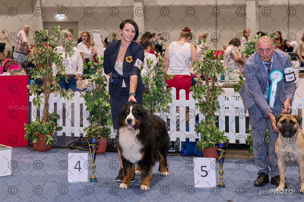 202406_ÖKV-IHA-Tulln24_NZ9_7822 | proPHOTO - Realisiert mit Pictrs.com