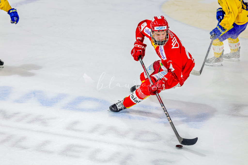 EHCB vs HCD-0954 | Sportbilder, Sportfotograf, Hochzeits- und Eventfotografin, Flugshows, Portraits und Tiershooting, Aviation, Downhill, Nationalleague, Swissleague, International