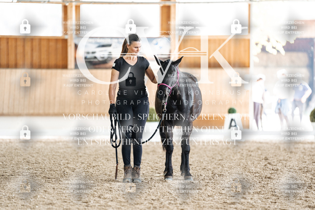 CK908370 | Turnierfotografie Pferdefotografie Trier Rheinland-Pfalz Pferdesport Reitsport Tierfotografie Sportfotografie Pferdevideo Pferdevideografie Equestrianvideography equestrianphotography  - Realisiert mit Pictrs.com