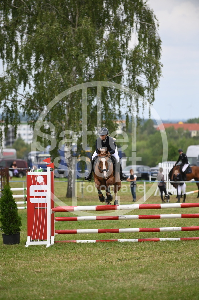 DSC_1900 | sattelsport - Realisiert mit Pictrs.com