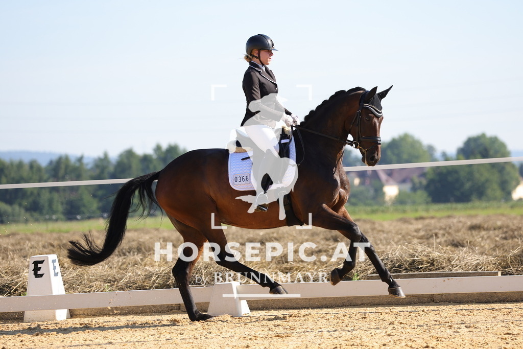 0P6A7188 | Willkommen bei Brunnmayr - Design & Fotografie – Ihrem Spezialisten für Reitturniere und Pferdeveranstaltungen in Oberösterreich, Salzburg und Bayern! Seit über 17 Jahren sind wir leidenschaftlich dabei.