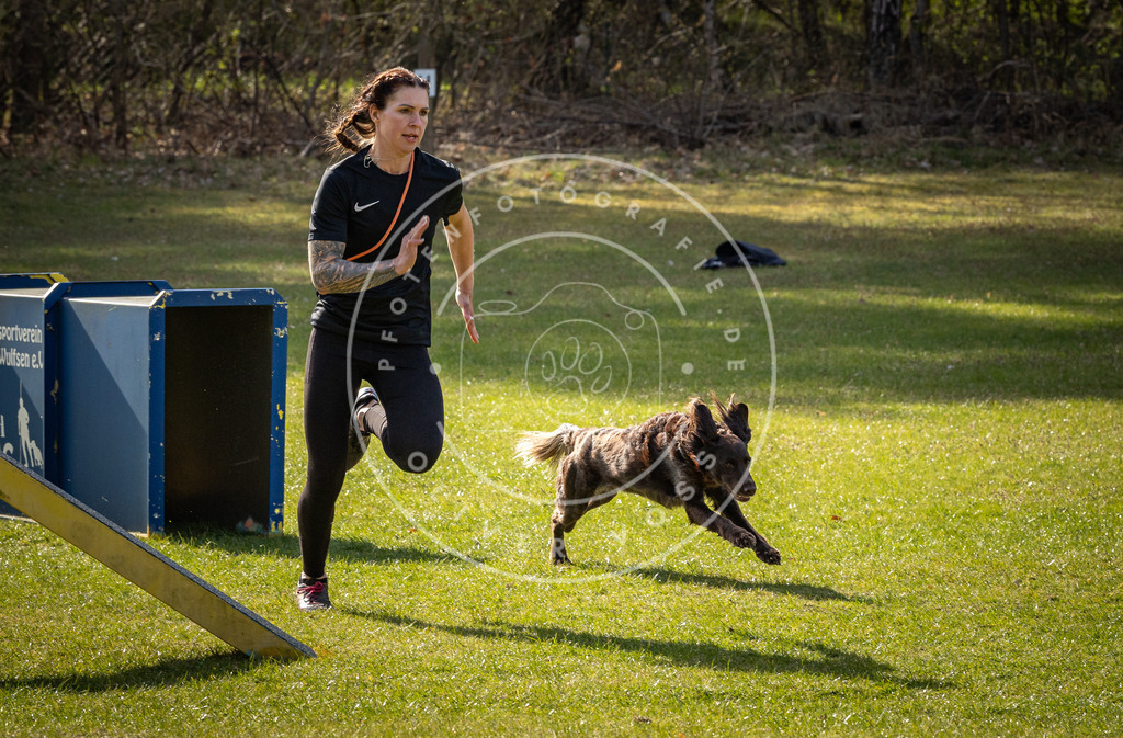 Pfotenfotografie_DV3A2994 | Hundefotografie, Tierfotograf, Pfotenfotografie, Fotoshooting Hund, Hunde Portrait, Hundesport, Hundeportraits, Heideshooting, Hunde, Sportfotograf, Hundefotograf, Turnierhundsport, THS,  - Realisiert mit Pictrs.com