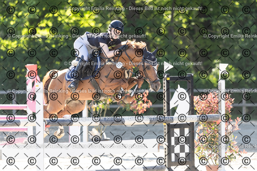 CL5A3522 | Emilia Reinking Fotografie - Realisiert mit Pictrs.com