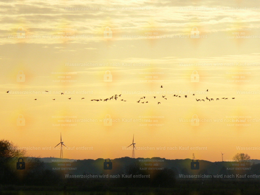 P1080449 | Fotoseite Wolkenblende - Das Hobby fotografieren begleitet mich schon  viele  Jahre. Auf den nächsten Seiten zeige ich ein paar Schnappschüsse der letzten Jahre und es kommen immer neue hinzu. Schau einfach mal rein. - Realisiert mit Pictrs.com