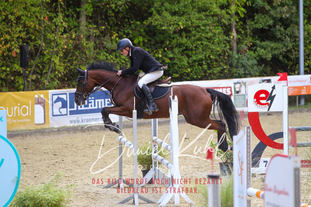 DKP40507 | Turniersportfotografie; Pferdefotografie; Dressurfotografie