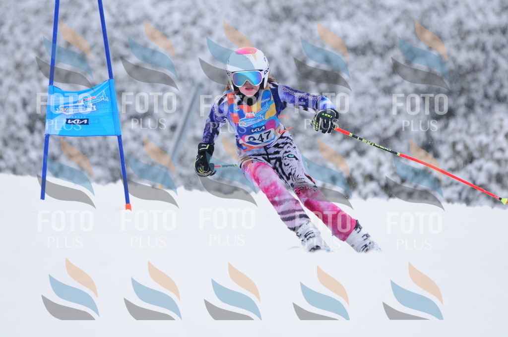 C3721 | holidayphoto