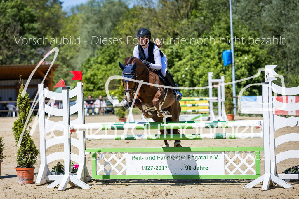 Donop24-Stil-L-066 | MomenTaufnahmen Pferdesportfotos