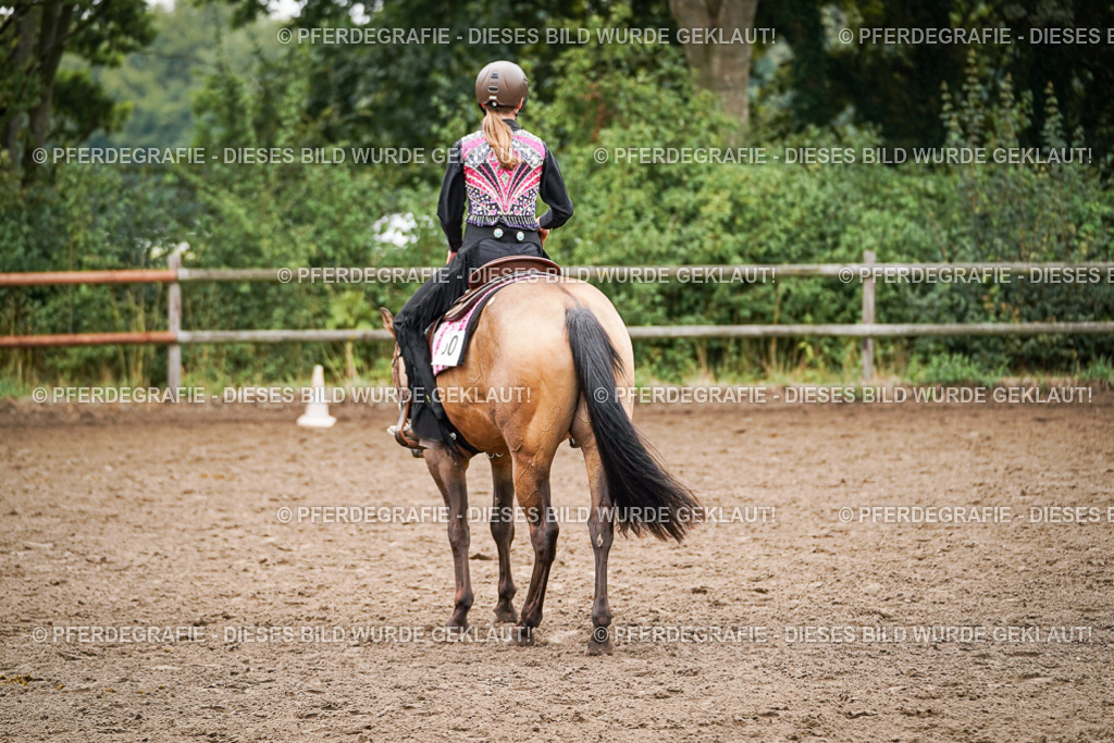 DSC02544 | Pferdegrafie