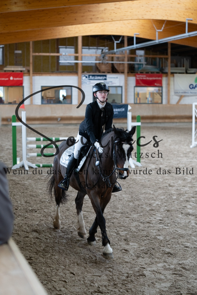 A7V00631 | Pferdefotograf