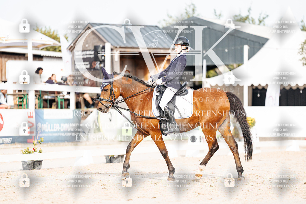 CK904445 | Turnierfotografie Pferdefotografie Trier Rheinland-Pfalz Pferdesport Reitsport Tierfotografie Sportfotografie Pferdevideo Pferdevideografie Equestrianvideography equestrianphotography  - Realisiert mit Pictrs.com