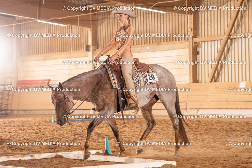 NID00823 | dv-media-shop - Realisiert mit Pictrs.com