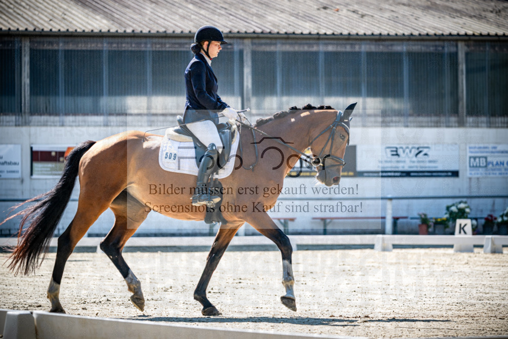 Turnier Laggenbeck 2026-10-0015 | Entdecke hochwertige Reitturnierfotos von Foto Oger. Professionell, emotional und authentisch – jetzt Lieblingsmomente im Shop bestellen.Deutschlandweite Turnierfotografie. - Realisiert mit Pictrs.com
