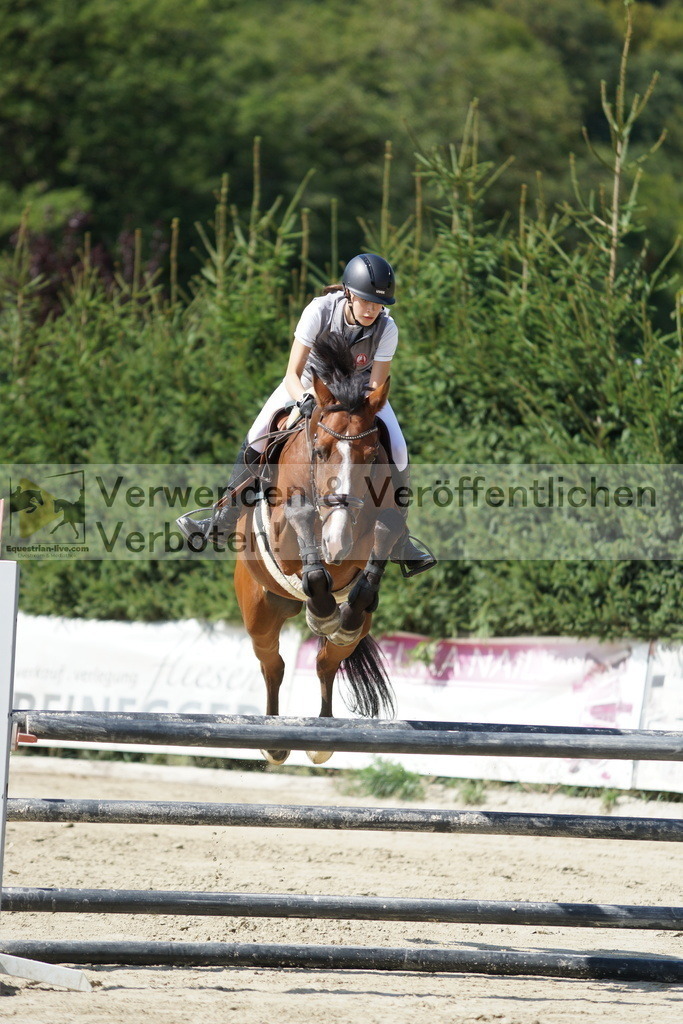 DSC01331 | equestrian-live-com