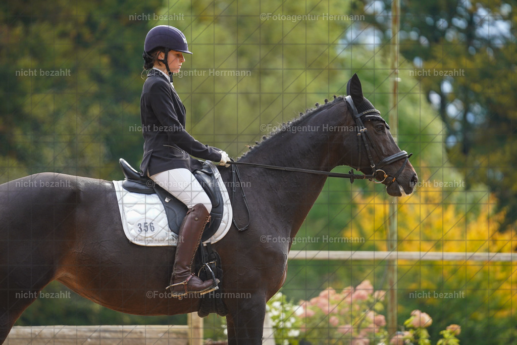20221008-FAH00767 | Diessen am Ammersee, 2022, Dressur- und Springturnier, Reitsportbilder, Turnierfotografen Bayern, Pferdefotografen, Fotoagentur Herrmann, Turnierbilder
