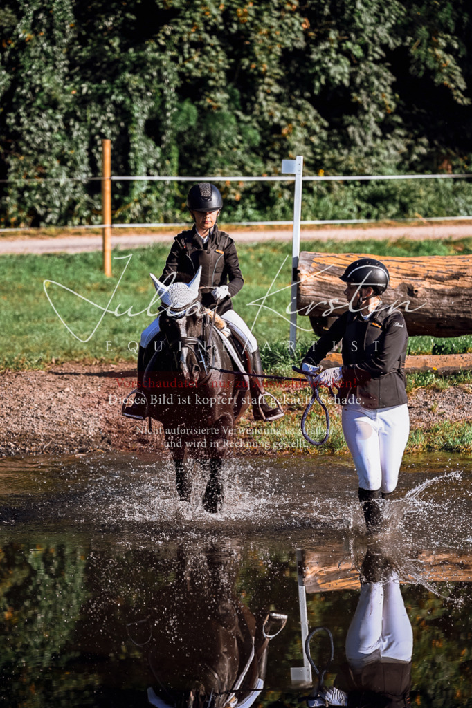 DSC_0387 | Pferde- und Turnierfotografie in Westsachsen. Pferdeportraits, Auftragszeichnungen und intuitive Kunst.