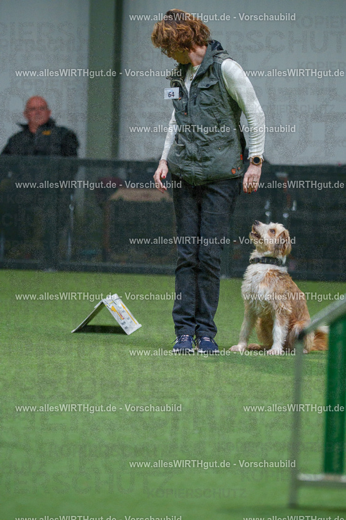 7R503397 | Professionelle Tierfotografie in Mönchengladbach von Daniel Wirth (allesWIRTHgut). Liebevolle & natürliche Bilder von Hunden & Katzen für unvergessliche Erinnerungen.