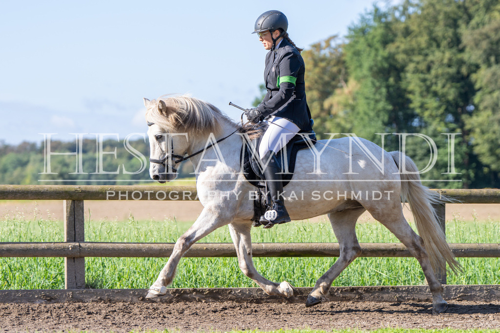 KAI04079 | Ihr sucht einen Fotografen für eure nächste OSI? Ich begleite auch euer Turnier für Islandpferde fotografisch.  - Realisiert mit Pictrs.com