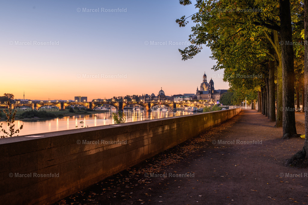 _DSC1367 | foto-rosenfeld