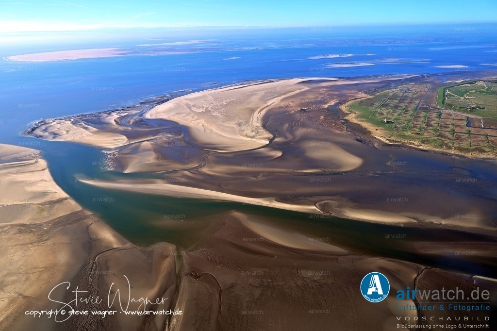 Luftbilder Tümlauer Koog  | Die Region ist auch ein beliebter Ort für Vogelbeobachtungen, besonders im Herbst, wenn Millionen von Zugvögeln in den Salzwiesen Energie für ihre Weiterreise tanken.