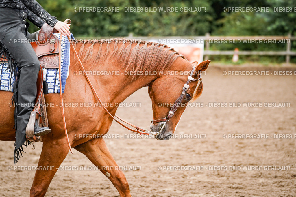 DSC02448 | Pferdegrafie