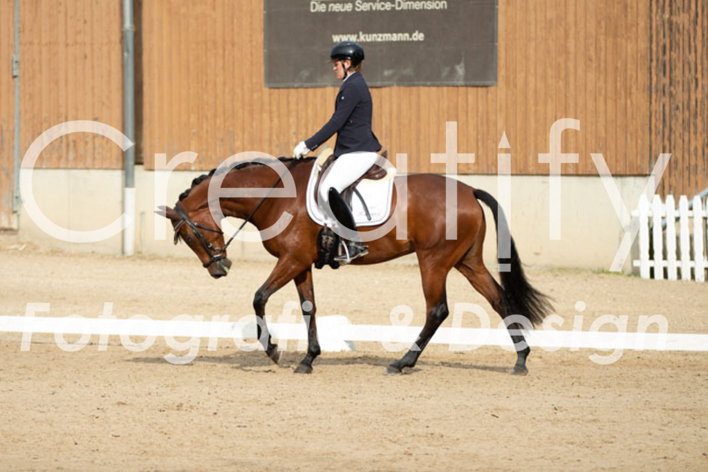 IMG_0384 | Creatify Fotografie