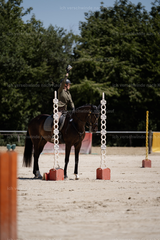 WS_ST_19_stoibphotography_SO10971 | working equitationturnier fotograf videograf stoibphotography marixx film working equitation deutschland reitsport turnierfotografie eventfotografie equestrian events