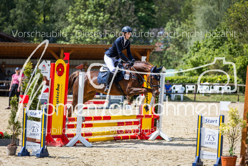 Donop24-SprRW-003 | MomenTaufnahmen Pferdesportfotos