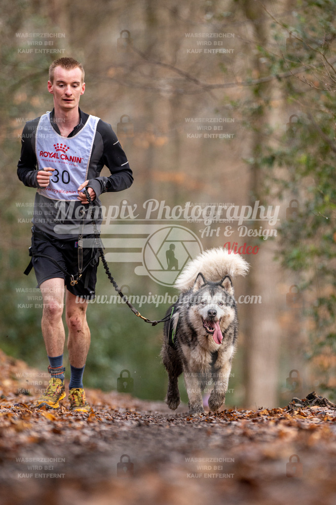 SPA_2023_DIM_CCL-157 | PayLife